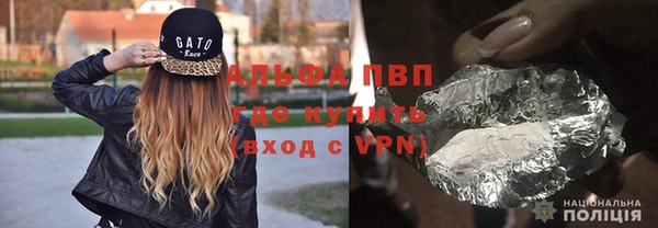 PSILOCYBIN Аркадак