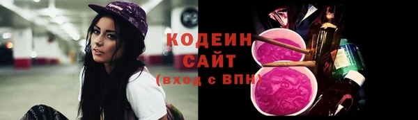 ГАЛЛЮЦИНОГЕННЫЕ ГРИБЫ Арсеньев