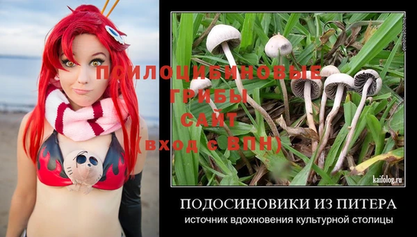ГАЛЛЮЦИНОГЕННЫЕ ГРИБЫ Арсеньев