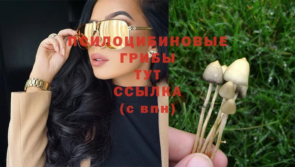 ГАЛЛЮЦИНОГЕННЫЕ ГРИБЫ Арсеньев