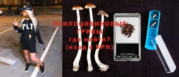 PSILOCYBIN Аркадак