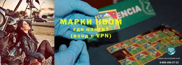 PSILOCYBIN Аркадак
