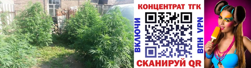 Дистиллят ТГК вейп с тгк  закладка  Армянск 
